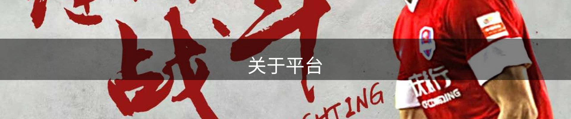 关于平台